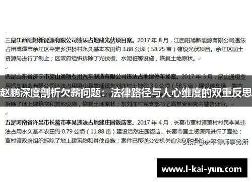 赵鹏深度剖析欠薪问题：法律路径与人心维度的双重反思