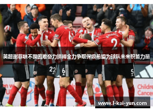英超谢菲联不畏困难奋力拼搏全力争取保级希望为球队未来积蓄力量
