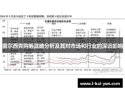 雷尔西克购筹战略分析及其对市场和行业的深远影响