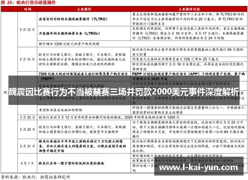 魏震因比赛行为不当被禁赛三场并罚款2000美元事件深度解析