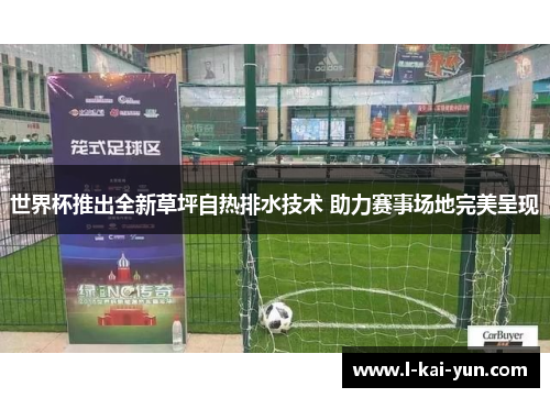 世界杯推出全新草坪自热排水技术 助力赛事场地完美呈现